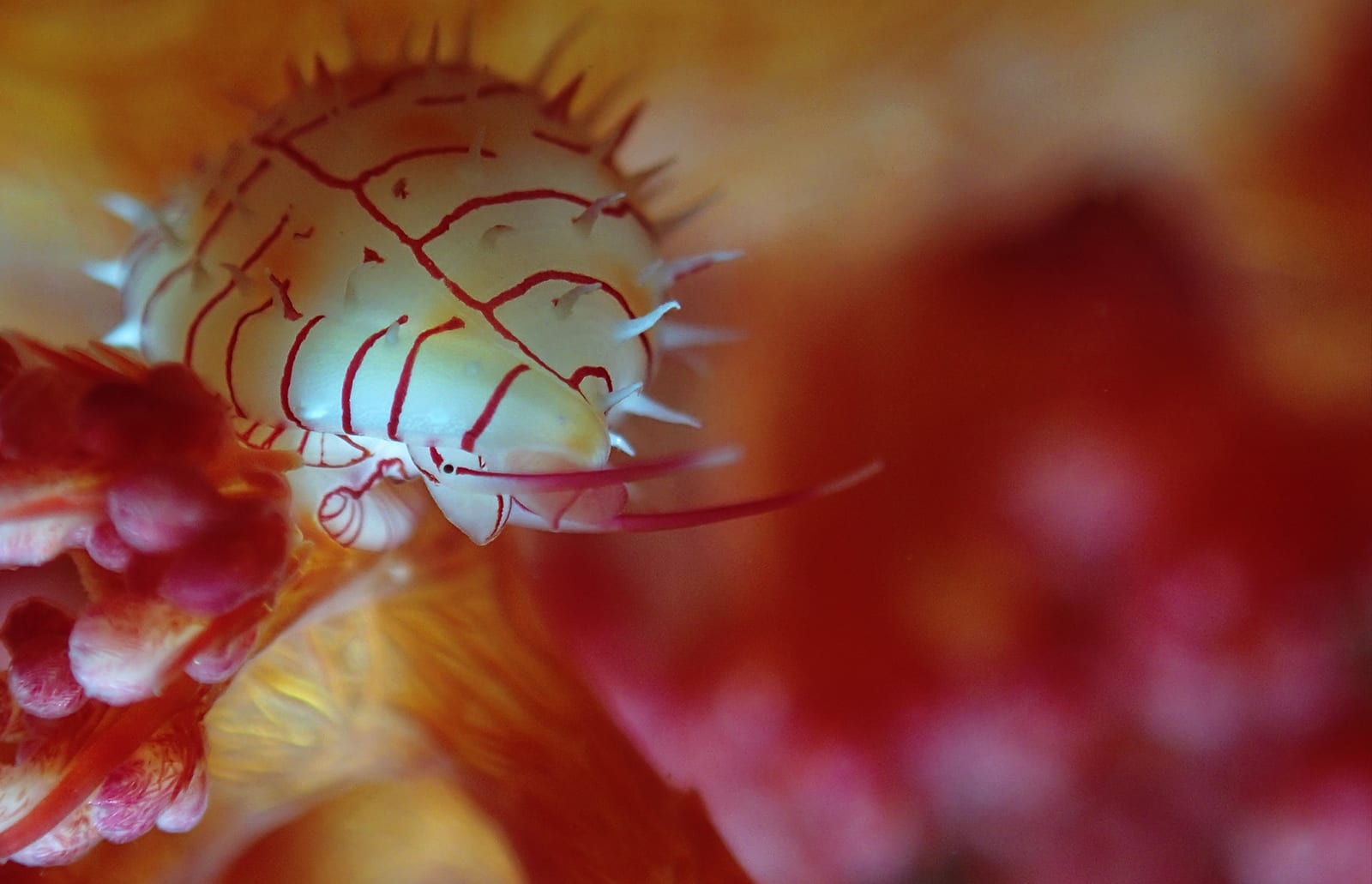 klopftechnik psychotherapie stuttgart